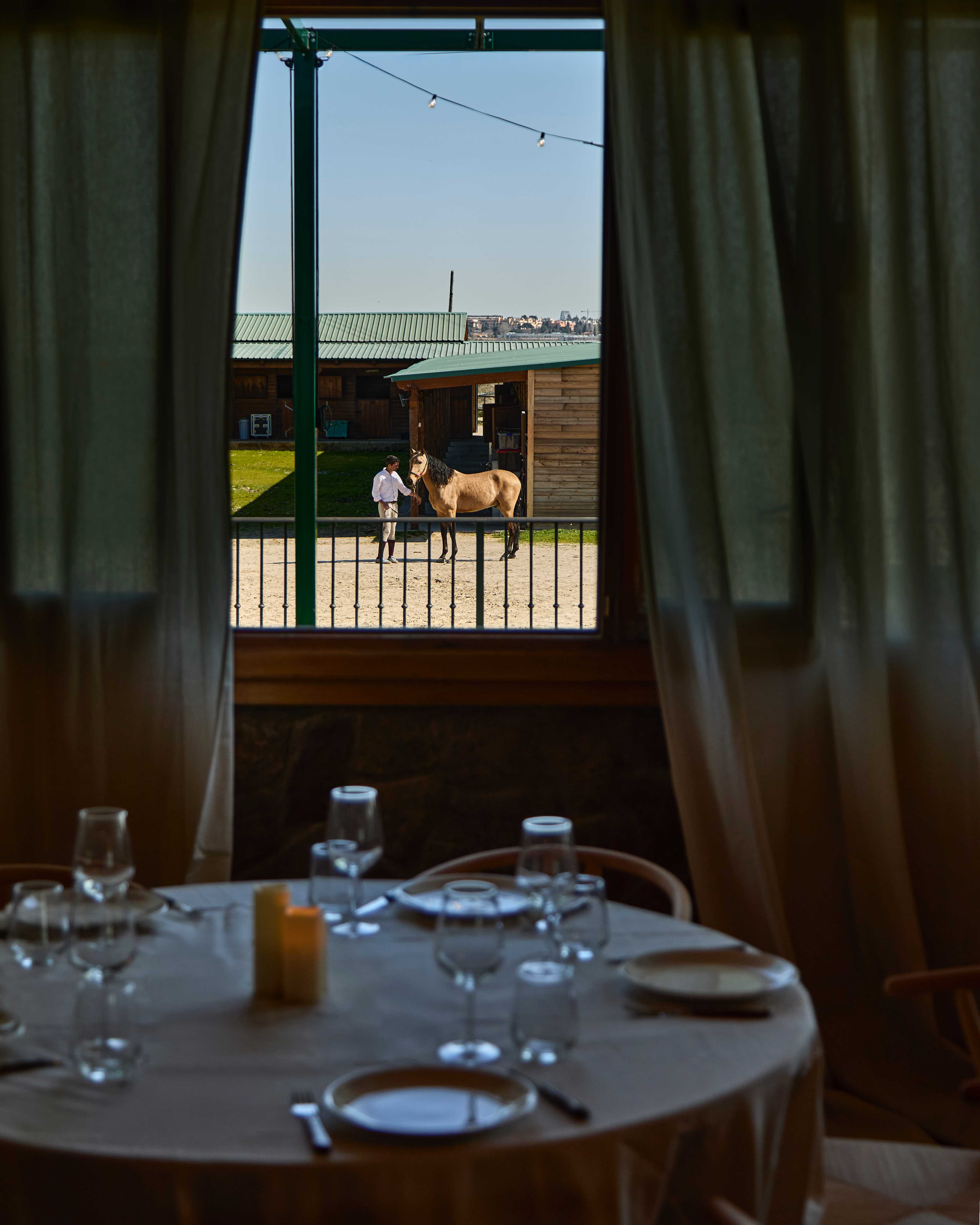 Terraza mirador con barra y vistas a Madrid