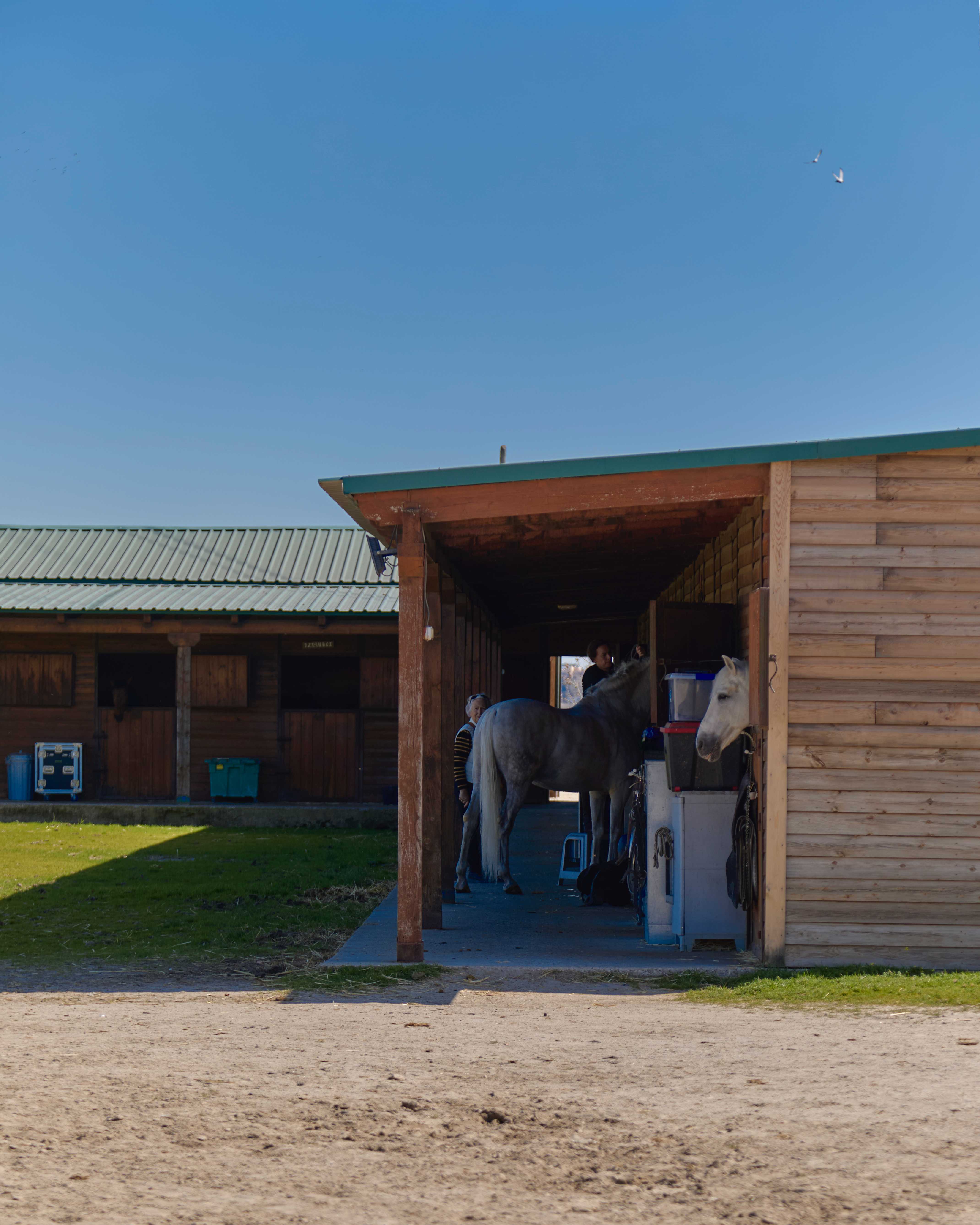 Terraza porche de La Hípica con caballos al fondo
